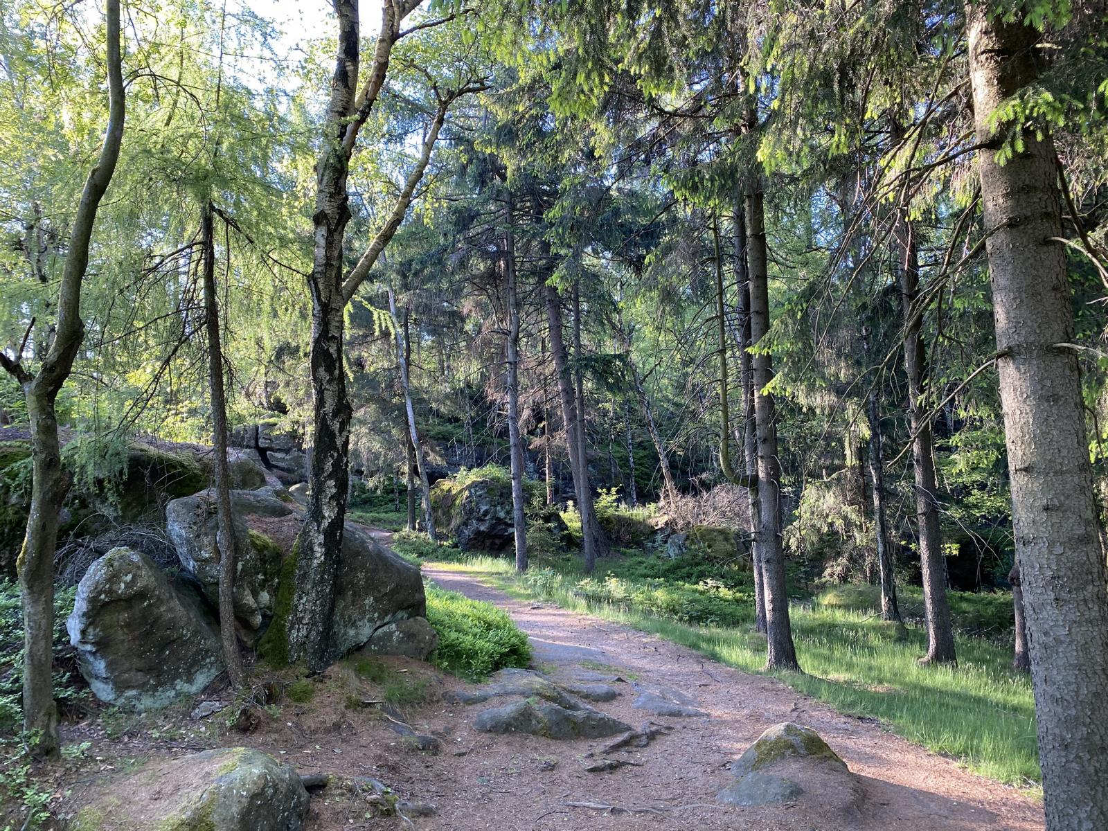 Waldweg